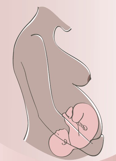 in utero