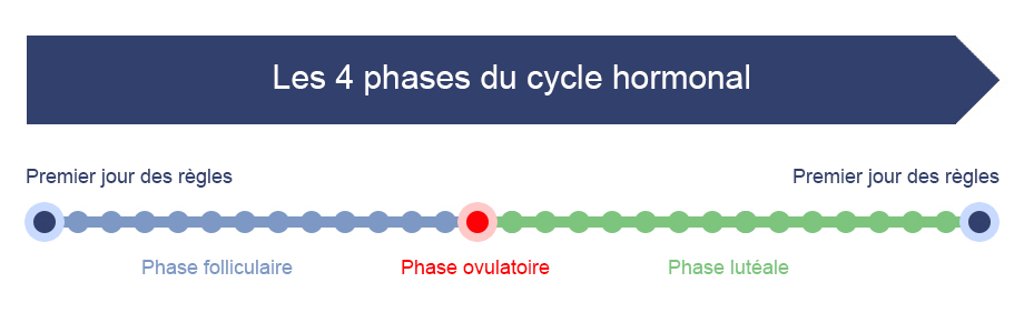 Les 4 phases du cycler hormonal. 1 = premier jour des règles. 2= phase folliculaire. 3 = phase ovulatoire. 4 = phase lutéale. Retour au premier jour des règles.