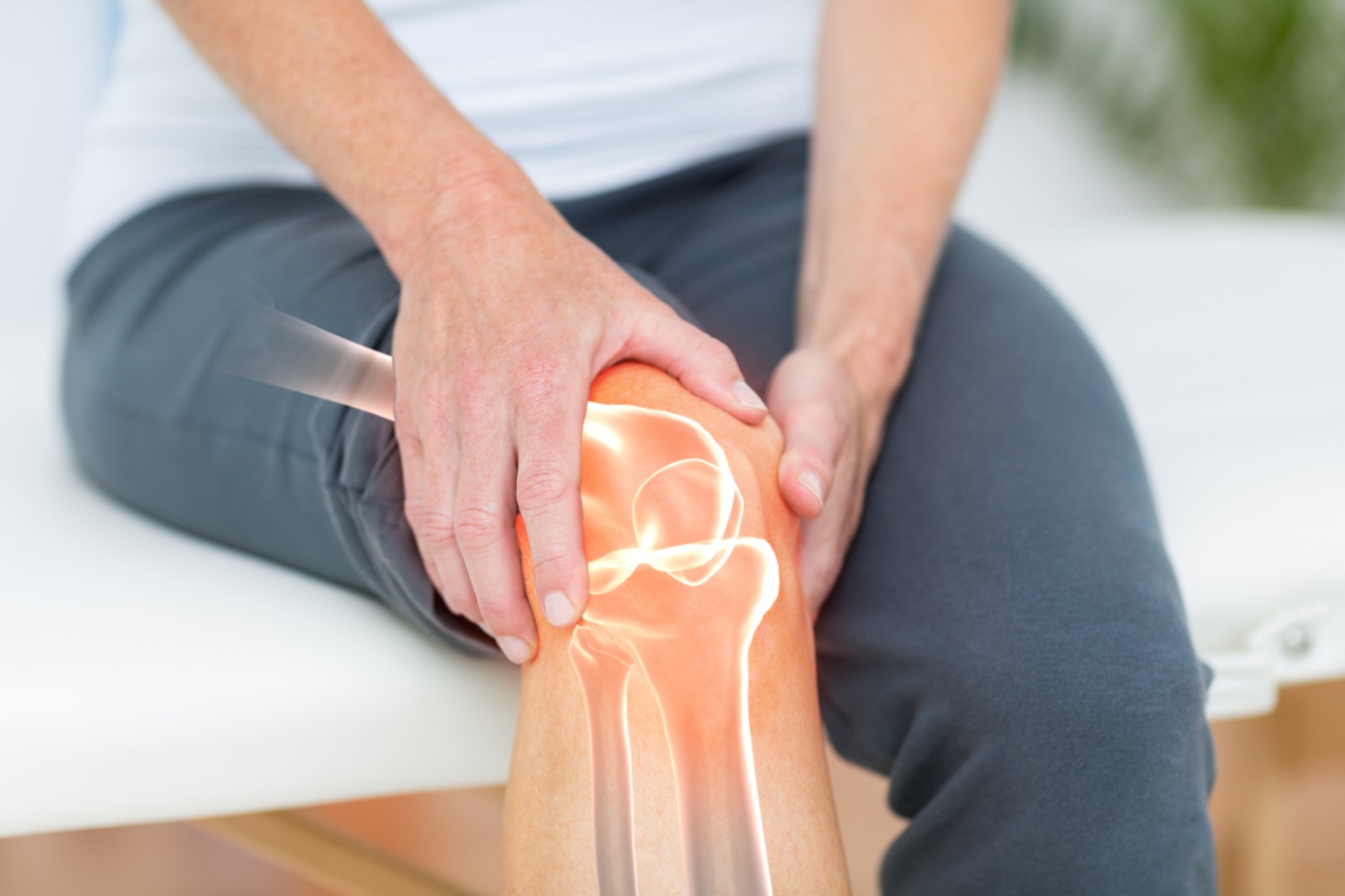 Prothèse du genou : les maladies du genou |