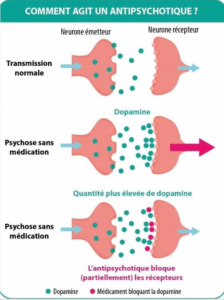 La transmission entre un neurone émetteur et un neurone récepteur diffère en quantité de dopamine  dans une psychose en fonction du type d’antipsychotique donné. L’antipsychotique bloque (partiellement) les récepteurs. 