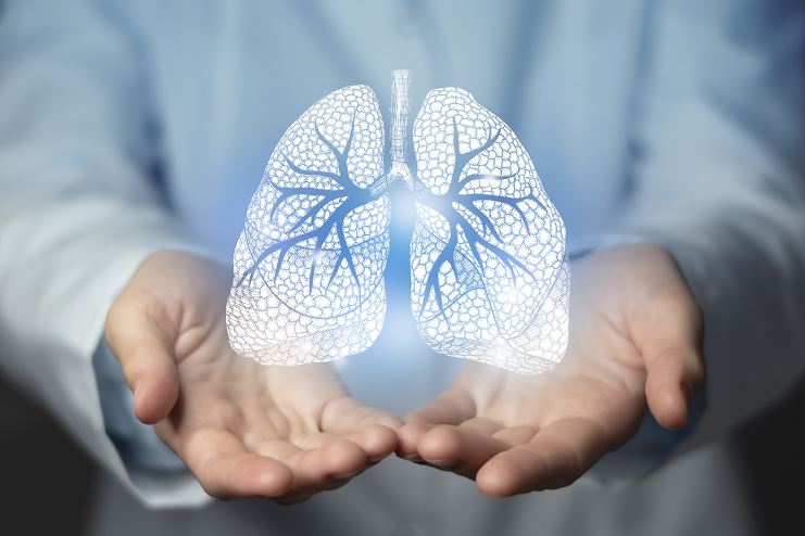 Gros plan sur deux mains ouvertes d’un professionnel de santé tenant un hologramme blanc-bleu de poumons détaillés montrant les bronches et les alvéoles, sur un fond flou